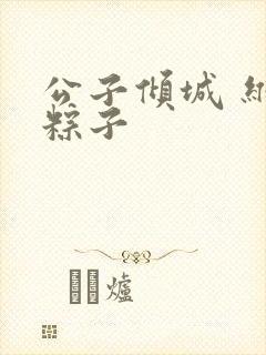 公子倾城 维和粽子