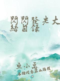 闪闪发光大团圆结目录