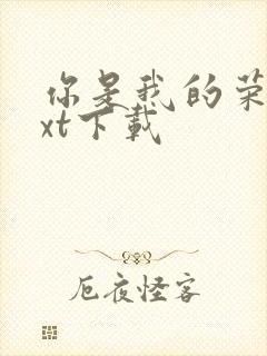 你是我的荣耀txt下载