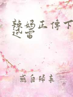 辣妈正传下载 迅雷