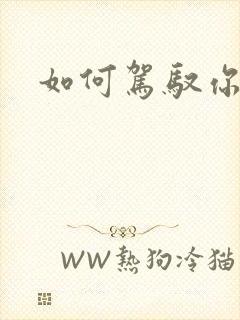 如何驾驭你的龙