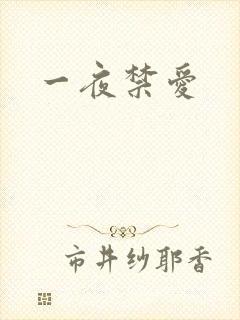 一夜禁爱