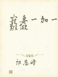 宠妻一加一老婆难做