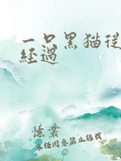 一只黑猫从眼前经过