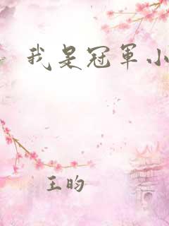 我是冠军小说