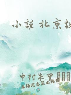 小说 北京故事