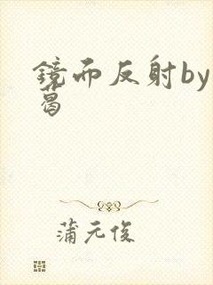 镜面反射by九葛