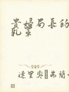 贵妇局长的蕾丝乳罩