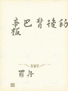 辛巴背后的人老板