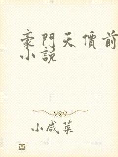 豪门天价前妻 小说