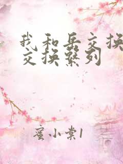 我和岳交换夫妇交换系列