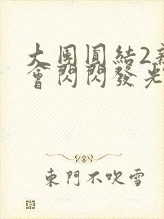 大团圆结2亲情会闪闪发光亲情会2