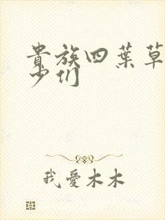 贵族四叶草的恶少们