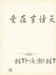 爱在有情天小说