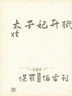 太子妃升职记txt