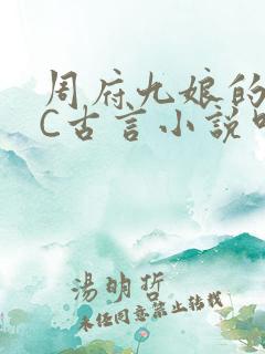 周府九娘的NPC古言小说叫什么