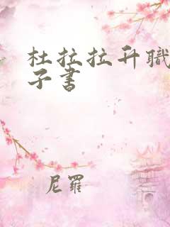 杜拉拉升职记电子书