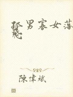 孤男寡女落瑛纷飞