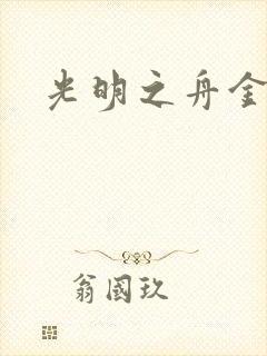 光明之舟金手指