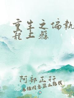 重生之偏执老公宠上瘾