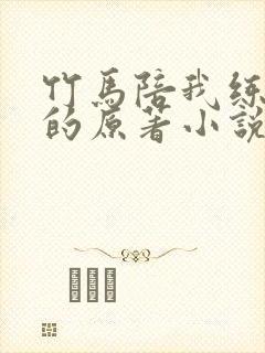 竹马陪我练技术的原著小说