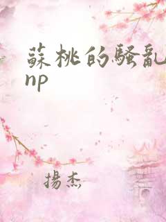 苏桃的骚乱文肉np