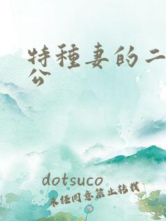 特种妻的二手老公