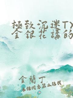 极致沉迷TXL金银花讲的什么