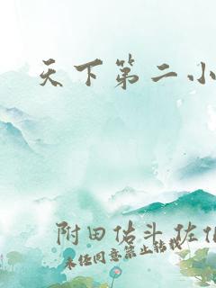天下第二小说