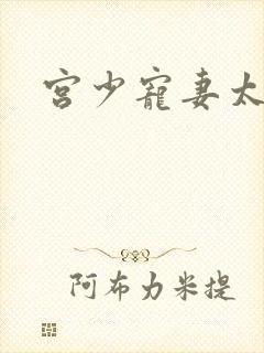 宫少宠妻太凶猛