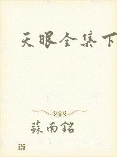 天眼全集下载
