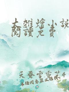 大杂烩小说全集阅读免费