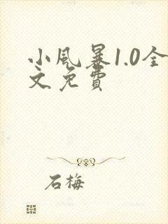 小风暴1.0全文免费
