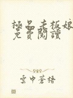 极品老板娘全文免费阅读