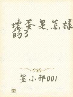 坏蛋是怎样练成的3