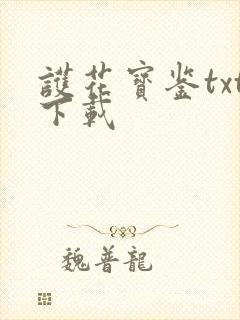 护花宝鉴txt下载