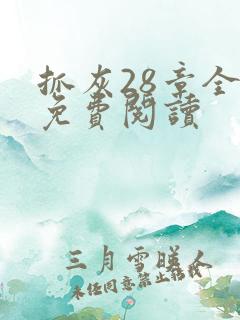 抓灰28章全部免费阅读