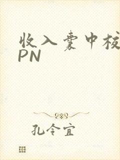 收入囊中校园HPN
