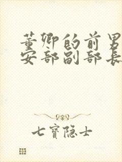 董卿的前男友公安部副部长