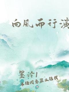 向风而行演员表