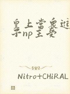 皇上当众进入太子np主受