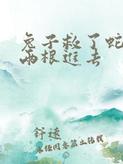 兔子救了蛇被蛇两根进去