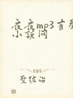 夜夜mp3有声小说网