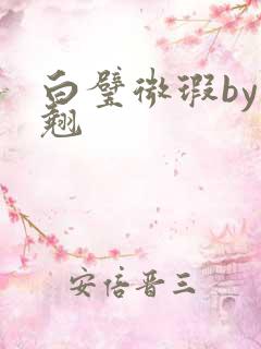 白璧微瑕by连翘
