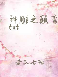 神雕之颠鸾倒凤txt