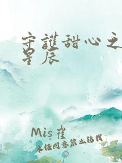 守护甜心之暗夜星辰