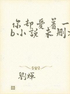 你却爱着一个sb小说 未删减完整版百度云