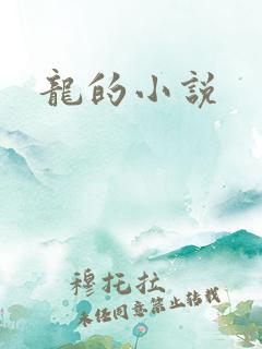 龙的小说