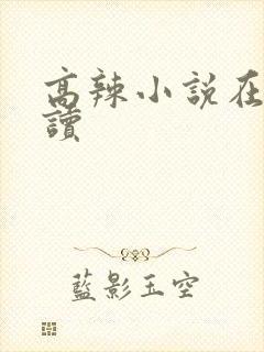 高辣小说在线阅读