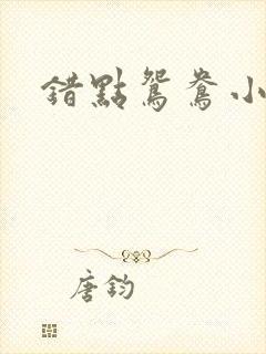 错点鸳鸯小说